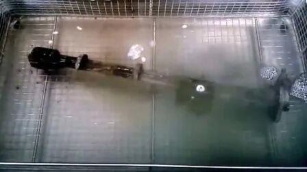 Ψηφιακό θερμαντήρα χρονοδιακόπτης ανοξείδωτα βιομηχανικά εξαρτήματα αυτοκινήτων υπερήχων καθαριστικό Jp-480st